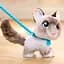 Интерактивная игрушка FurReal Friends Wag-A-Lots Котенок (28059) - миниатюра 4