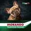 Сухий корм для собак Morando Tradizioni Grain Free з яловичиною та горохом 15 кг - мініатюра 5