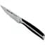 Нож для чистки профессиональный Barazzoni Inox Professional 9 см (802070125) - миниатюра 1