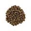 Сухий корм для кішок Brit Care Cat GF Sensitive HDigestion and Delicate Taste 400 г (8595602540716) - мініатюра 4