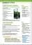 Imagine 4. B1. Livre + didierfle.app - мініатюра 9