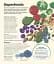 How Food Works: The Facts Visually Explained - мініатюра 6