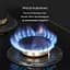 Варильна поверхня газова Klarstein Goldflame 4 (10034972) - мініатюра 5
