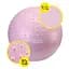 М'яч для фітнесу (фітбол) Cornix 65 см напівмасажний Anti-Burst Light Pink XR-0481 - мініатюра 4