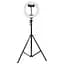 Кільцева світлодіодна LED лампа Arc Ring 8 + tripod 2.1m Black - мініатюра 2