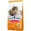 Сухой корм для кошек Club 4 Paws Premium с эффектом выведения шерсти из пищеварительного тракта 14 кг (B4630101) - миниатюра 1