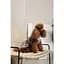 Платье Pet Fashion Amelia для собак XS2 - миниатюра 7