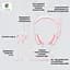 Наушники Logitech H390 USB Rose (981-001281) - миниатюра 6