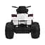 Електроквадроцикл Ramiz Quad ATV 2.4G 12 В, чорний (PA.BDM0906.2.4GHZ.CZ) - мініатюра 5