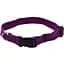 Нашийник для собак Coastal New Earth Soy Dog Collar XXS 1 х 15-20 см соєвий еко - мініатюра 1