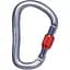 Карабін Black Diamond RockLock Screwgate Сірий/Помаранчевий (1033-BD 210256.1003) - мініатюра 1