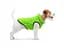 Курточка для тварин Collar AiryVest UNI двостороння M 48 салатово-чорна (2560) - мініатюра 6