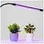 Фітолампа для рослин Double Grow Light, подвійна, гнучка, з USB живленням і таймером, 40 LED - мініатюра 4