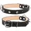Нашийник для собак Collar подвійний з шипами (4820082491888) - мініатюра 1