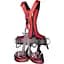 Система Camp Golden Top Evo Alu L-XXL Red/Grey (1060-94122ALXXL) - мініатюра 1