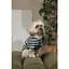 Футболка Pet Fashion Breeze для собак S - миниатюра 7
