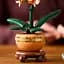 Конструктор LEGO Botanicals Міні орхідея 274 деталі (10343) - мініатюра 7
