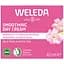 Крем для обличчя Weleda Smoothing Day Cream з дикою трояндою та білим чаєм 40 мл - мініатюра 1
