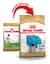Сухой корм Royal Canin Pug Puppy для щенков, с мясом птицы и рисом, 0,5 кг - миниатюра 2