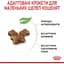 Сухий корм для кошенят Royal Canin Kitten м'ясо птиці та рис 0.4 кг - мініатюра 5
