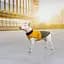 Попона Pet Fashion Roy для собак, розмір 7XL, хакі-гірчиця - мініатюра 7