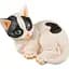 Декоративная фигурка Lefard Кошка 14 см (465-053) - миниатюра 1