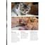 Kittens – Олдертон Дэвид - миниатюра 3