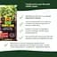 Торфосуміш для бонсаїв COMPO SANA® 5 л - мініатюра 7