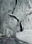 Burton Holmes. Travelogues. The Greatest Traveler of His Time - миниатюра 3