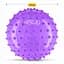 М'яч для пілатесу, йоги, реабілітації 4FIZJO 20 см (масажний) Violet (P-5905973406086) - мініатюра 5