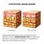 Набір антицелюлітних розігрівальних обгортань Hillary Heating Anti-Cellulite Wrap Set - мініатюра 3