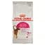 Сухой корм для кошек, привередливых к аромату продукта Royal Canin Exigent Aromatic, 2 кг (2543020) - миниатюра 1