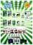 Young Stars 1 Workbook with CD - миниатюра 2