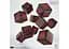 Набор кубиков Game of Thrones. Targaryen 10xD6 Dice Set (10 шт.) (GOT/00190166/2025/3/B) - миниатюра 2