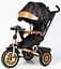 Велосипед 3-колісний Best Trike Perfetto поворотне сидіння фара USB Bluetooth 8066/380-29 - мініатюра 1