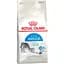 Сухий корм для домашніх котів Royal Canin Indoor з птицею 4 кг (25290409) - мініатюра 1