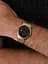 Годинник Festina Swiss Made F20020/3 - мініатюра 5