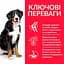 Сухий корм Hill’s SP Adult Large Breed для дорослих собак великих порід з ягням і рисом 14 кг - мініатюра 2