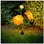 Світильники садові на сонячній батареї Garden Peony Light 2 шт вуличні - мініатюра 5