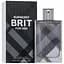 Туалетна вода Burberry Brit For Him 100 мл - мініатюра 1