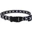Нашийник для собак Coastal Pet Attire Style 2.5 х 46-66 см (06921_SKZ26) - мініатюра 1