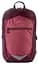 Рюкзак спортивний 20L Rocktrail Wanderrucksack Бордовий - мініатюра 2