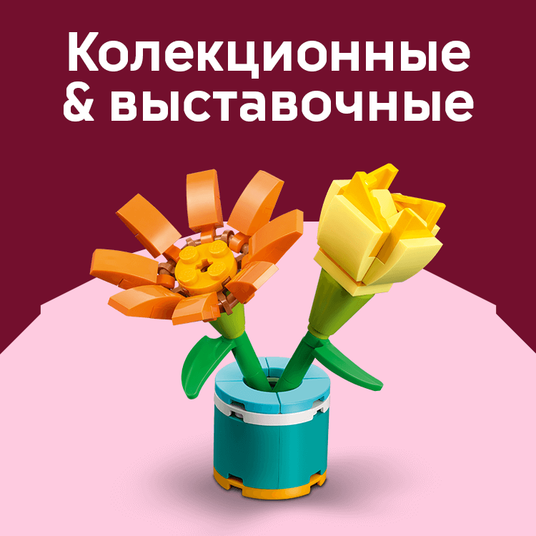 kolektsiini